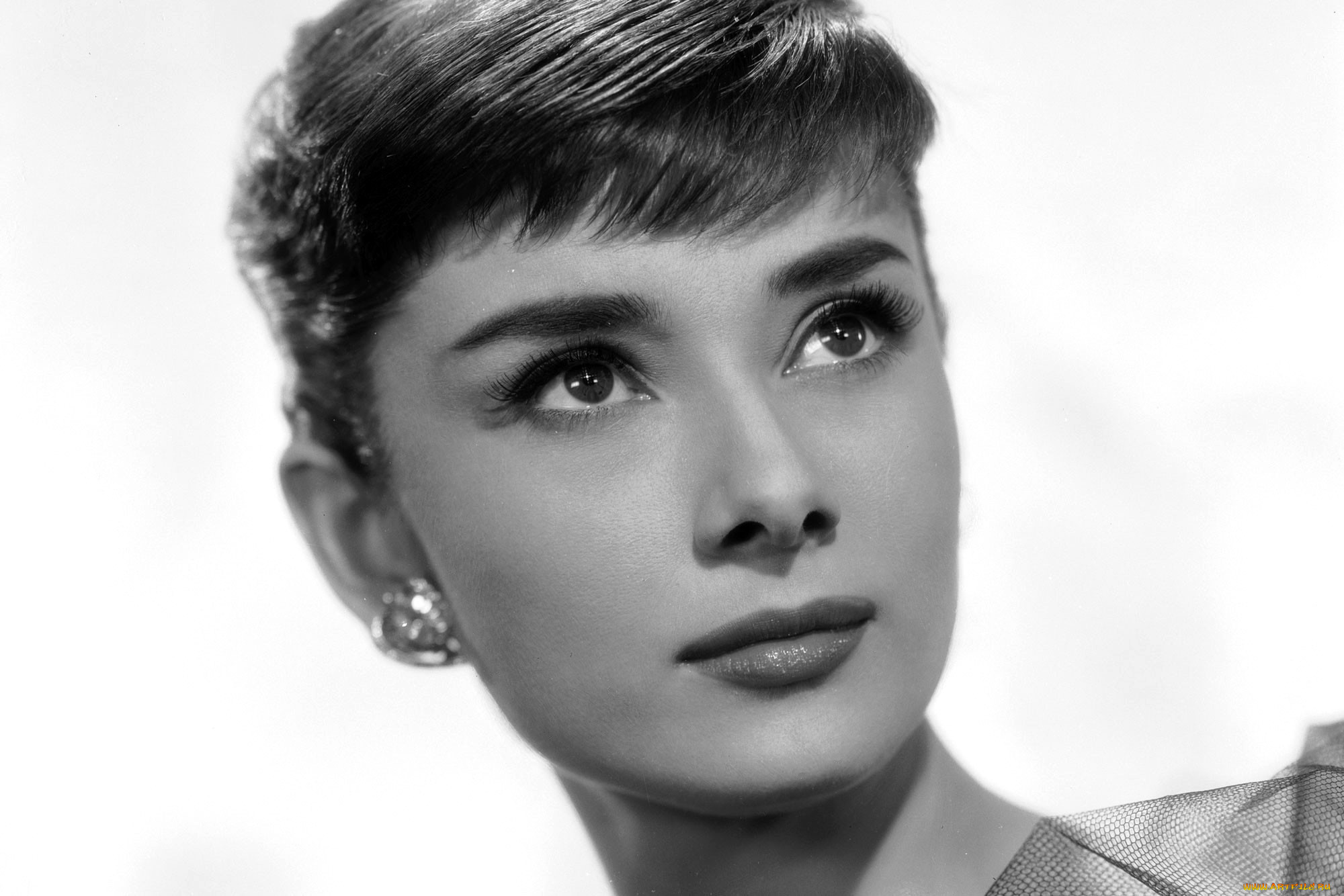 , audrey hepburn, , , -